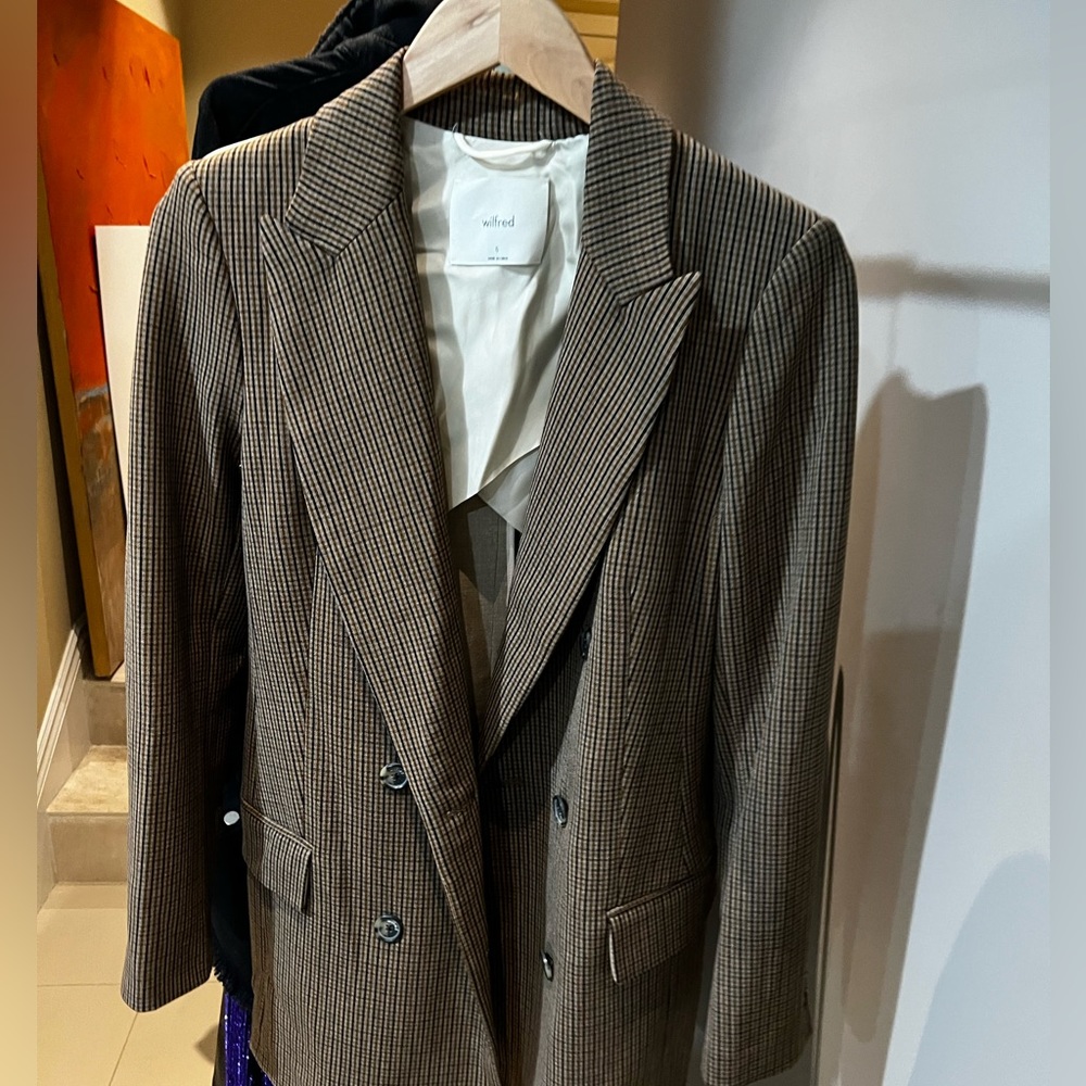 Aritzia coat